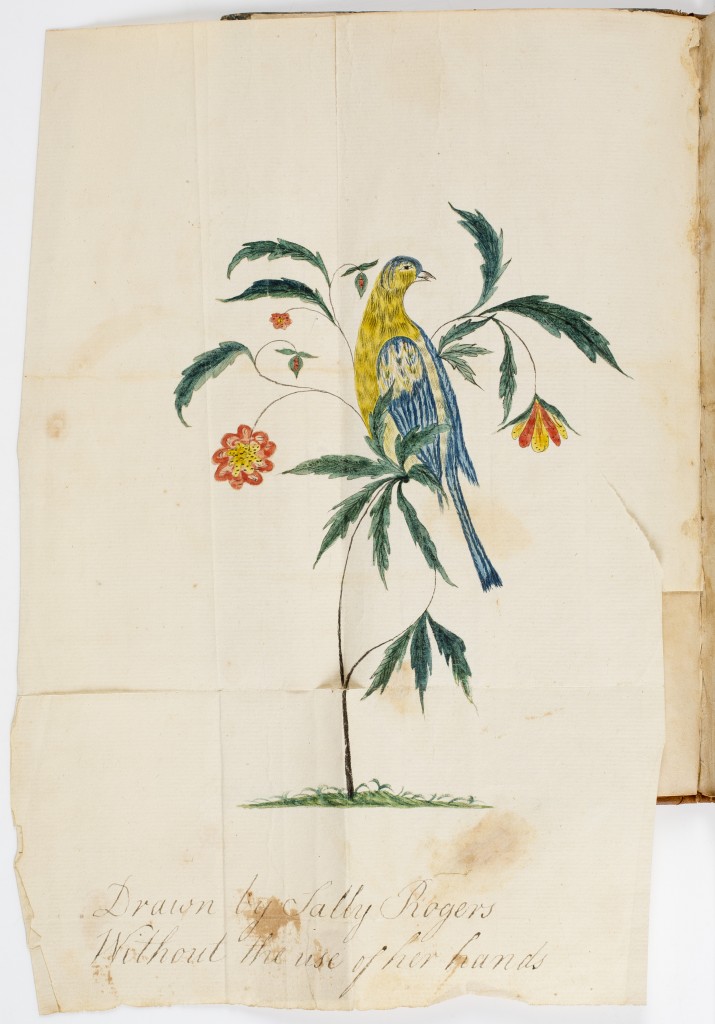 Watercolor illustration from A Real Object of Charity (Walpole, N.H., 1806). The painting, an image of a bird on a flowering tree, was created by Sally Rogers; it, along with three other illustrations, was inserted into the pamphlet after it was printed.