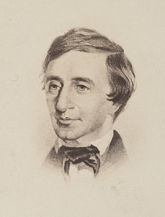 Carte-de-visite of Samuel Rouse's 1854 portrait of Henry. From the AAS cartes-de-visite collection.