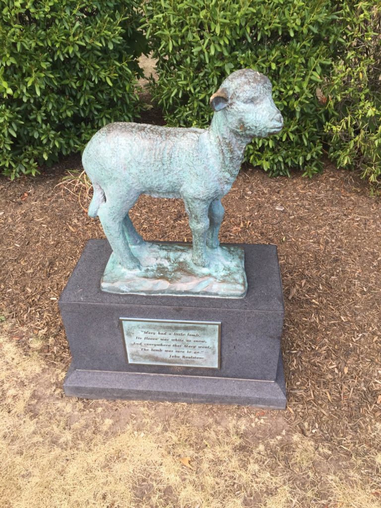 Statue of Mary's Little Lamb in Sterling, Massachusetts.
