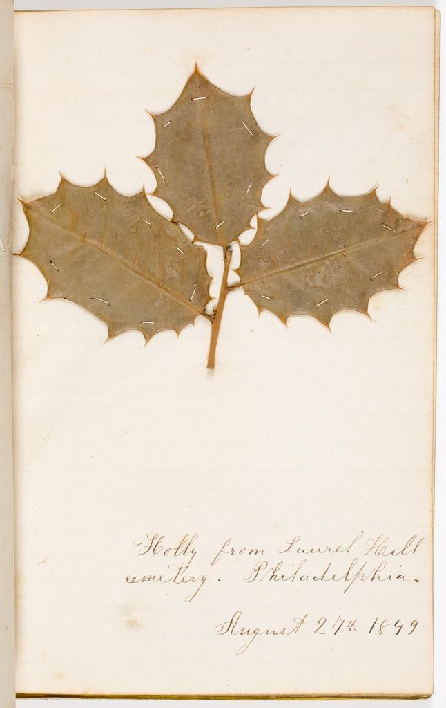 Souvenir herbarium